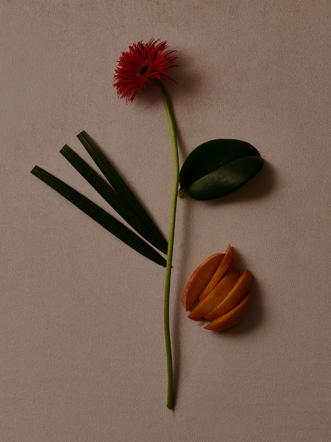6月21日 野の草 image number 0